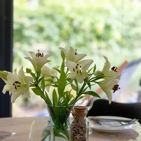 Relax With Parking Shellter Renters Prestige *