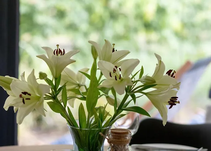 Relax With Parking Shellter Renters Prestige *