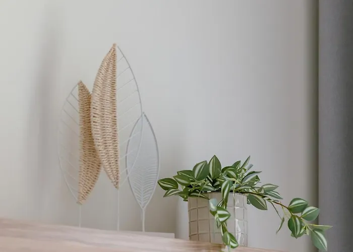 Relax With Parking Shellter Renters Prestige